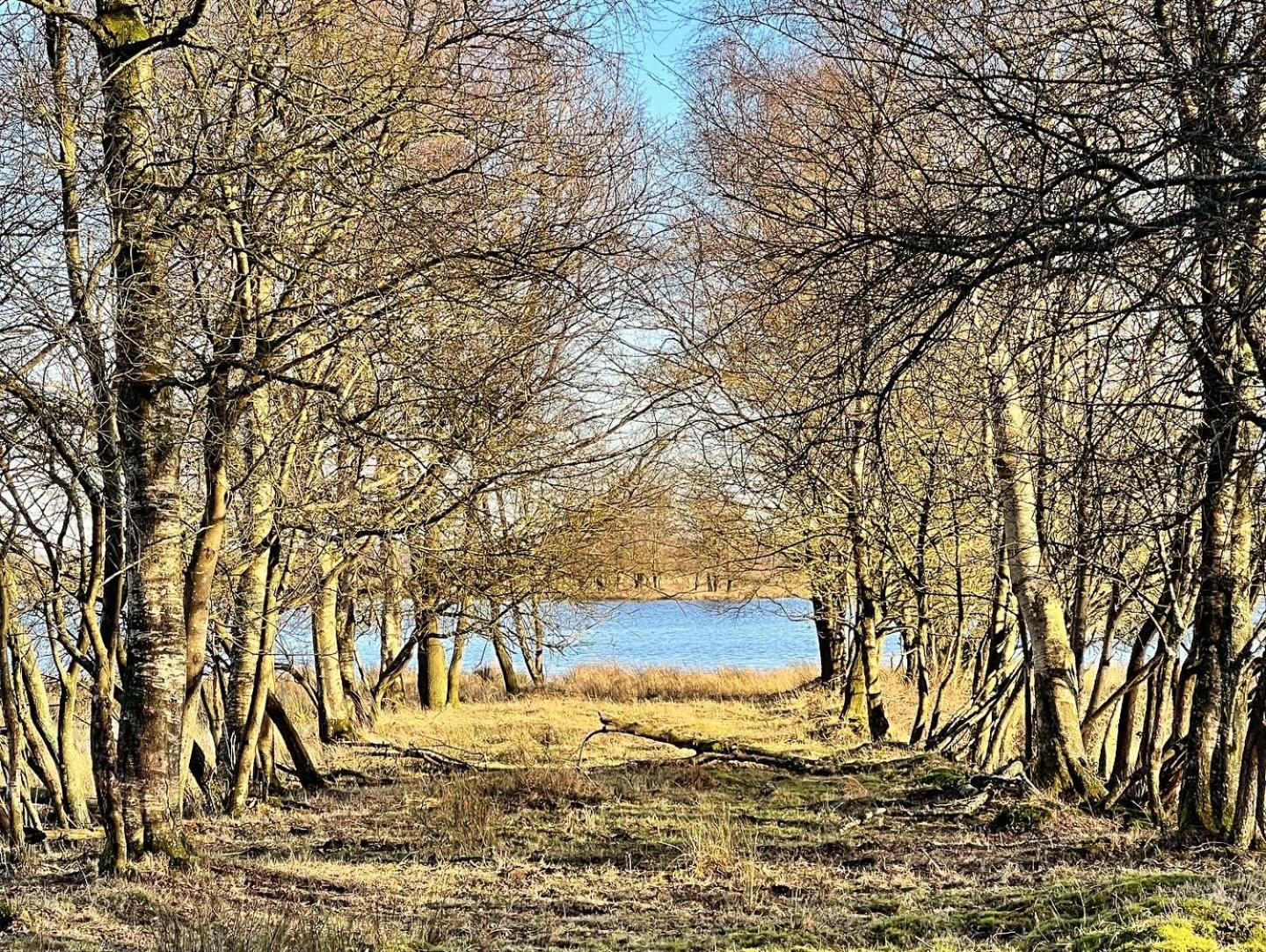 Natuurhuisje Meppen Dış mekan fotoğraf