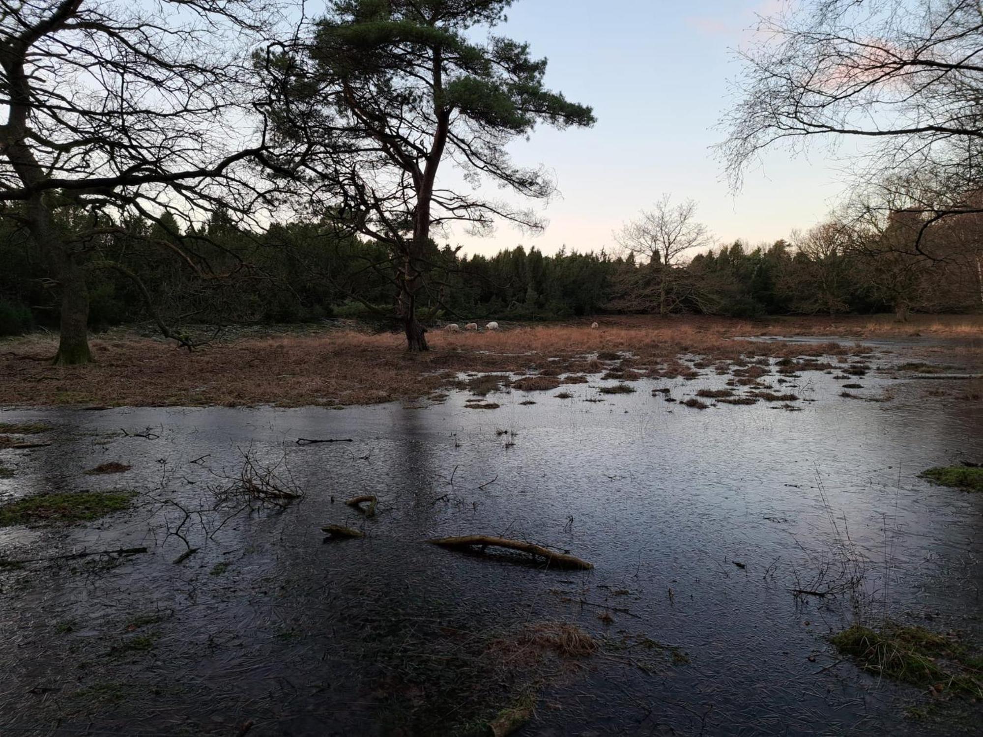 Natuurhuisje Meppen Dış mekan fotoğraf