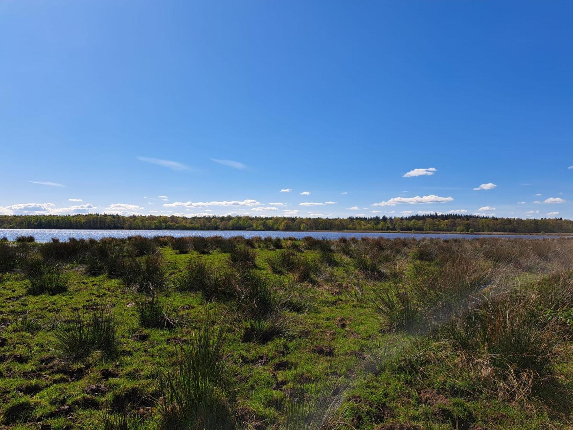 Natuurhuisje Meppen Dış mekan fotoğraf