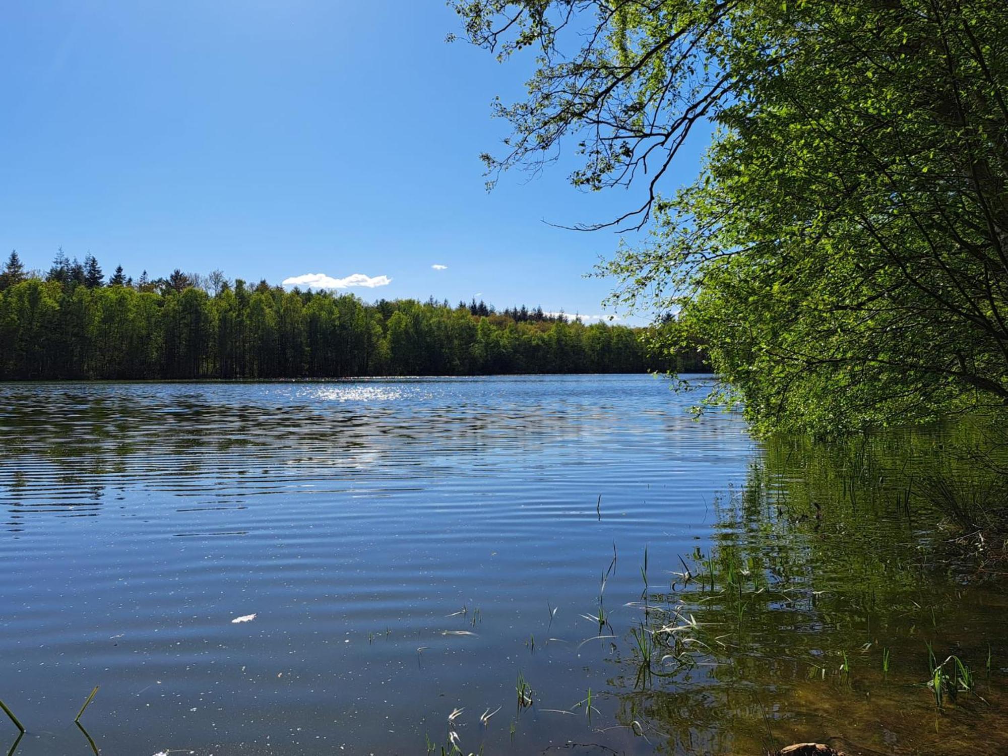 Natuurhuisje Meppen Dış mekan fotoğraf