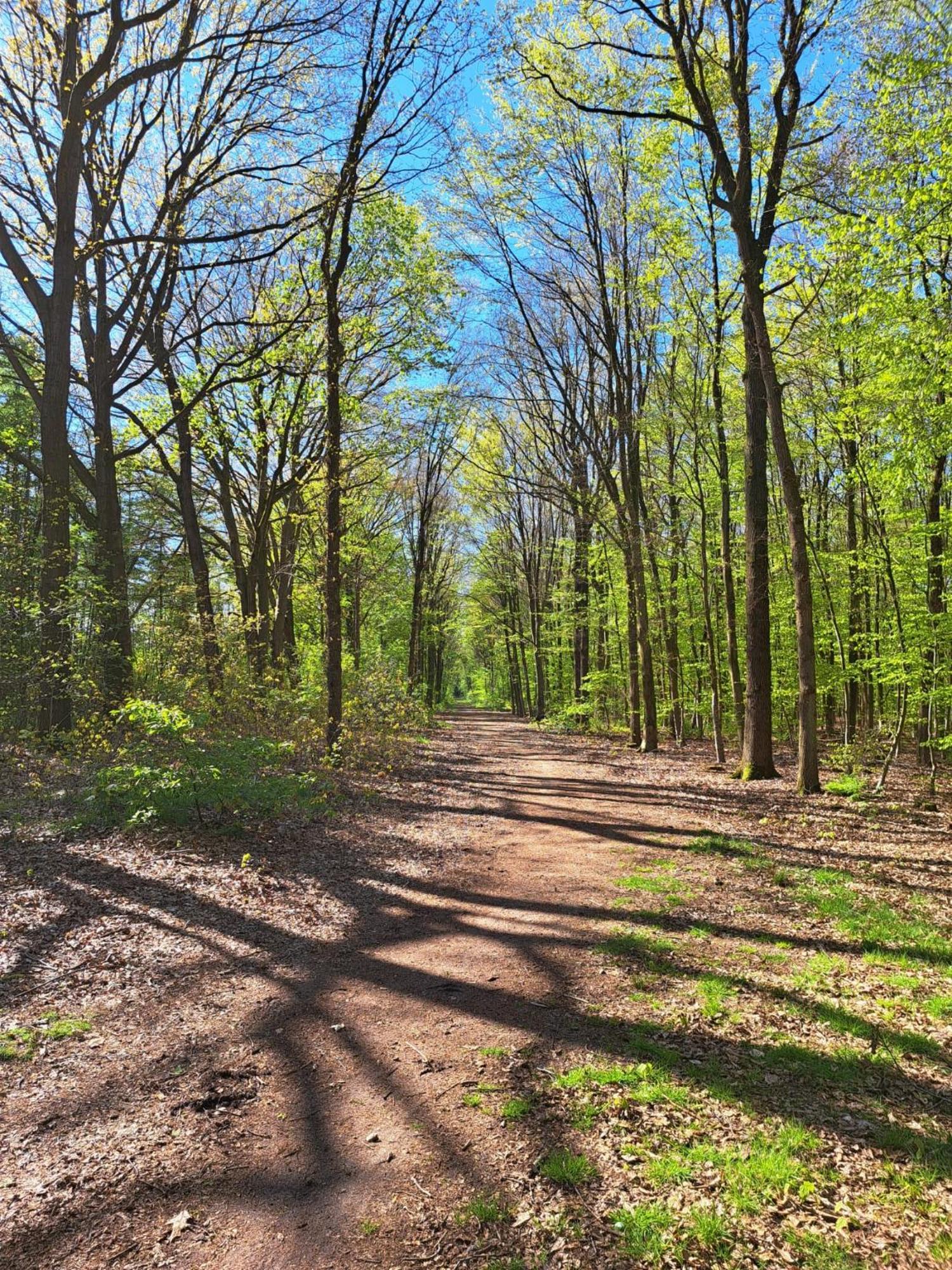 Natuurhuisje Meppen Dış mekan fotoğraf